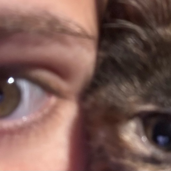 Meet your Posher, Emily - Picture 6 of 10